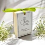 Wardrobe Fragrance Spicy Raisin